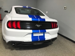 Used 2020  Ford Mustang 2d Fastback Eco Premium at Carolina Family Motors near Mooresville&comma; NC