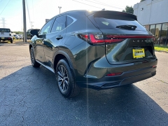 Used 2024  Lexus NX NX 250 Premium FWD at The Truck Farm near Easley&comma; SC