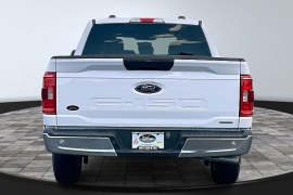 Used 2023  Ford F-150 2WD XLT SuperCrew 5&period;5' Box at The Truck Farm near Easley&comma; SC