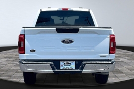 Used 2023  Ford F-150 2WD XLT SuperCrew 5&period;5' Box at The Truck Farm near Easley&comma; SC