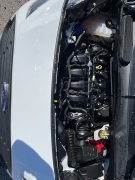 Used 2022 Ford Transit Connect Van XL SWB w/Rear Symmetrical Doors at Tecforce Automotive near Bridgeport, NY