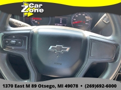 Used 2019  Chevrolet Silverado 1500 4WD Double Cab Custom Trail Boss at Car Zone Sales near Otsego&comma; MI