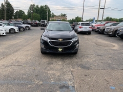 Used 2019  Chevrolet Equinox 4d SUV AWD LS at Car Zone Sales near Otsego, MI