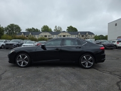 Used 2025 Acura TLX FWD w/Technology Package at Dime Down by Frank Leta near Bridgeton, MO