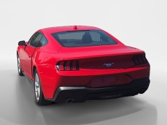 Used 2026  Ford Mustang EcoBoost Fastback at Dime Down by Frank Leta near Bridgeton&comma; MO