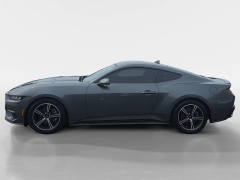 Used 2024  Ford Mustang EcoBoost Fastback at Dime Down by Frank Leta near Bridgeton&comma; MO