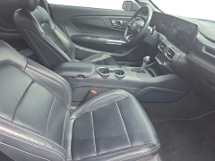Used 2024  Ford Mustang EcoBoost Fastback at Dime Down by Frank Leta near Bridgeton&comma; MO