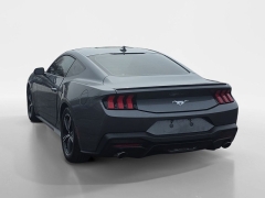 Used 2024  Ford Mustang EcoBoost Fastback at Dime Down by Frank Leta near Bridgeton&comma; MO