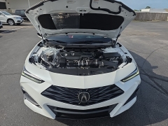 Used 2025 Acura TLX SH-AWD w/A-Spec Package at Dime Down by Frank Leta near Bridgeton, MO