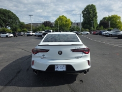 Used 2025 Acura TLX SH-AWD w/A-Spec Package at Dime Down by Frank Leta near Bridgeton, MO