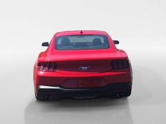 Used 2026  Ford Mustang EcoBoost Fastback at Dime Down by Frank Leta near Bridgeton&comma; MO