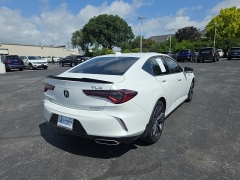 Used 2023 Acura TLX SH-AWD w/A-Spec Package at Dime Down by Frank Leta near Bridgeton, MO