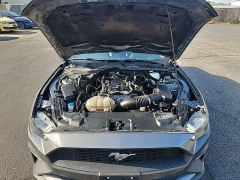 Used 2022 Ford Mustang EcoBoost Convertible at Dime Down by Frank Leta near Bridgeton, MO