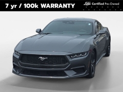  2024 Ford Mustang EcoBoost Fastback at Dime Down by Frank Leta near Bridgeton, MO