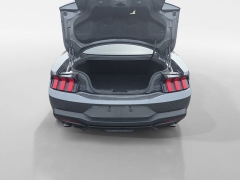 Used 2024  Ford Mustang EcoBoost Fastback at Dime Down by Frank Leta near Bridgeton&comma; MO