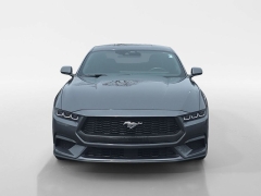 Used 2024  Ford Mustang EcoBoost Fastback at Dime Down by Frank Leta near Bridgeton&comma; MO