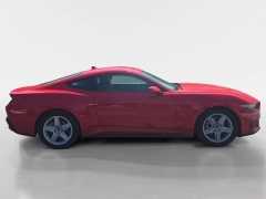 Used 2026  Ford Mustang EcoBoost Fastback at Dime Down by Frank Leta near Bridgeton&comma; MO