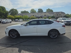 Used 2025 Acura TLX SH-AWD w/A-Spec Package at Dime Down by Frank Leta near Bridgeton, MO