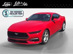 Used 2026  Ford Mustang EcoBoost Fastback at Dime Down by Frank Leta near Bridgeton&comma; MO