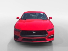 Used 2026  Ford Mustang EcoBoost Fastback at Dime Down by Frank Leta near Bridgeton&comma; MO