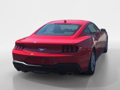 Used 2026  Ford Mustang EcoBoost Fastback at Dime Down by Frank Leta near Bridgeton&comma; MO