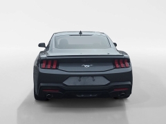 Used 2024  Ford Mustang EcoBoost Fastback at Dime Down by Frank Leta near Bridgeton&comma; MO