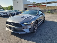 Used 2022 Ford Mustang EcoBoost Convertible at Dime Down by Frank Leta near Bridgeton, MO