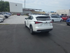 Used 2019  Lexus NX NX 300h AWD at Dime Down by Frank Leta near Bridgeton&comma; MO