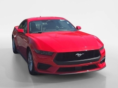 Used 2026  Ford Mustang EcoBoost Fastback at Dime Down by Frank Leta near Bridgeton&comma; MO