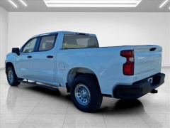 Used 2020  Chevrolet Silverado 1500 4WD Crew Cab Work Truck at Best Choice Motors near Lafayette&comma; IN
