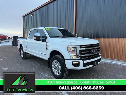 2021 Ford F-350 Super Duty Platinum's photo