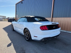 Used 2019  Ford Mustang 2d Convertible GT Premium at T&K TruckCo near Great Falls&comma; MT