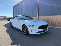 Used 2019  Ford Mustang 2d Convertible GT Premium at T&K TruckCo near Great Falls&comma; MT