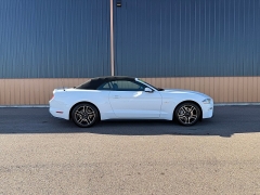 Used 2019  Ford Mustang 2d Convertible GT Premium at T&K TruckCo near Great Falls&comma; MT
