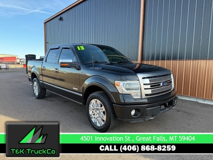 2013 Ford F-150 Platinum