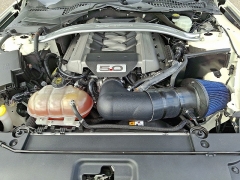 Used 2015  Ford Mustang 2d Fastback GT 50 Years Limited Edition at Joshua Motor Company near Pennsauken, NJ