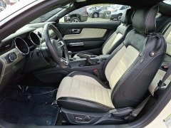 Used 2015  Ford Mustang 2d Fastback GT 50 Years Limited Edition at Joshua Motor Company near Pennsauken, NJ