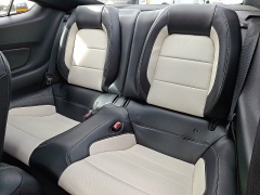 Used 2015  Ford Mustang 2d Fastback GT 50 Years Limited Edition at Joshua Motor Company near Pennsauken, NJ