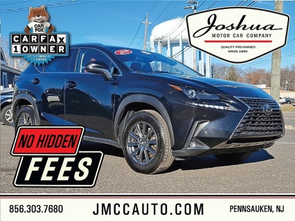 2019 Lexus NX 300's photo