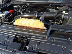 Used 2019  Ford F-150 4WD SuperCrew Box at Joshua Motor Company near Pennsauken, NJ