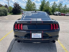 Used 2021 Ford Mustang EcoBoost Fastback at EZ Car Connection near Frankfort, KY