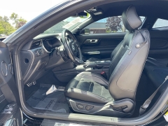 Used 2021 Ford Mustang EcoBoost Fastback at EZ Car Connection near Frankfort, KY