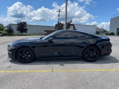 Used 2021 Ford Mustang EcoBoost Fastback at EZ Car Connection near Frankfort, KY
