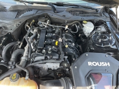 Used 2021 Ford Mustang EcoBoost Fastback at EZ Car Connection near Frankfort, KY