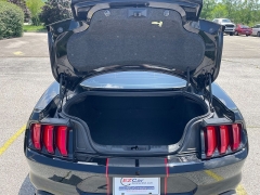 Used 2021 Ford Mustang EcoBoost Fastback at EZ Car Connection near Frankfort, KY