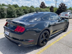 Used 2021 Ford Mustang EcoBoost Fastback at EZ Car Connection near Frankfort, KY