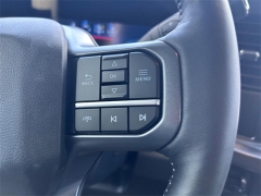 Used 2024 Ford Super Duty F-250 SRW 4WD Crew Cab Box at Dime Down by Frank Leta near Bridgeton, MO