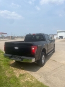 Used 2024 Ford F-150 XLT 4WD SuperCrew Box at Dime Down by Frank Leta near Bridgeton, MO