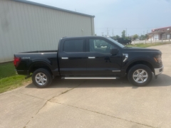 Used 2024 Ford F-150 XLT 4WD SuperCrew Box at Dime Down by Frank Leta near Bridgeton, MO