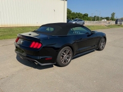 Used 2017  Ford Mustang 2d Convertible EcoBoost Premium at Dime Down by Frank Leta near Bridgeton&comma; MO